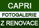 RENOVACE ::: CAPRI